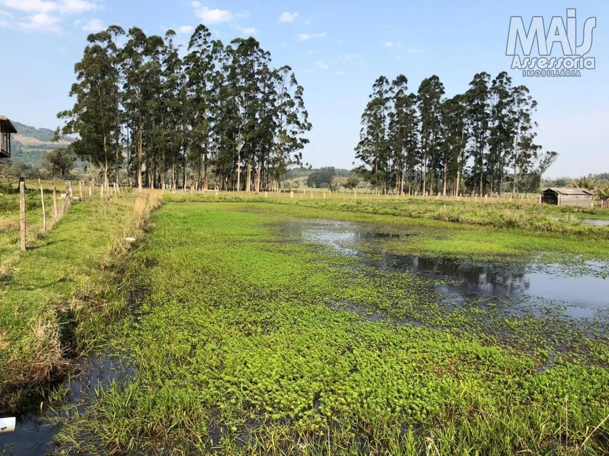 Imagem Chácara para Venda em Santo Antônio da Patrulha / RS no bairro Pinheirinhos