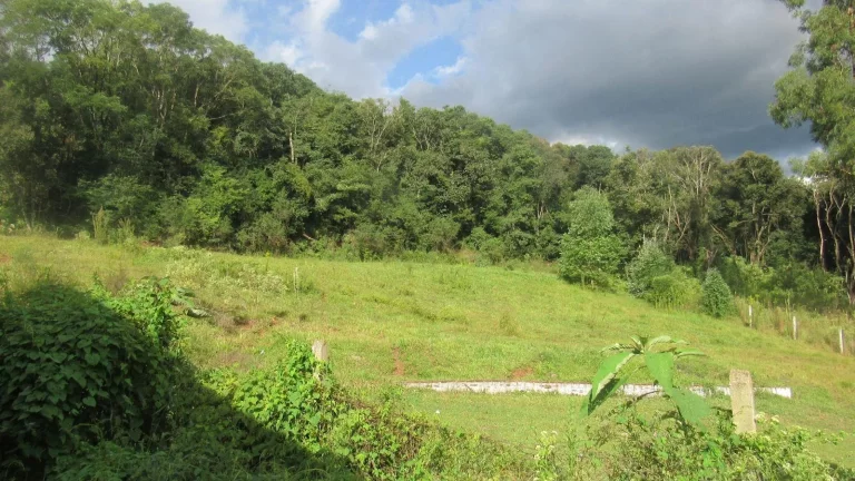 Imagem Granja para Venda em Irani, Rural