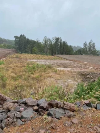 Imagem Terreno para Venda em Concórdia, Primavera