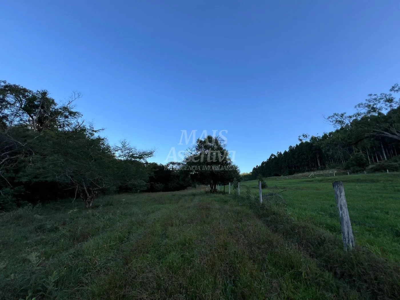 Imagem Chácara de 10 hectares para venda em Lomba Grande, Novo Hamburgo