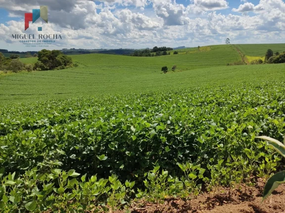 Imagem Sítio a venda região São Miguel Arcanjo SP