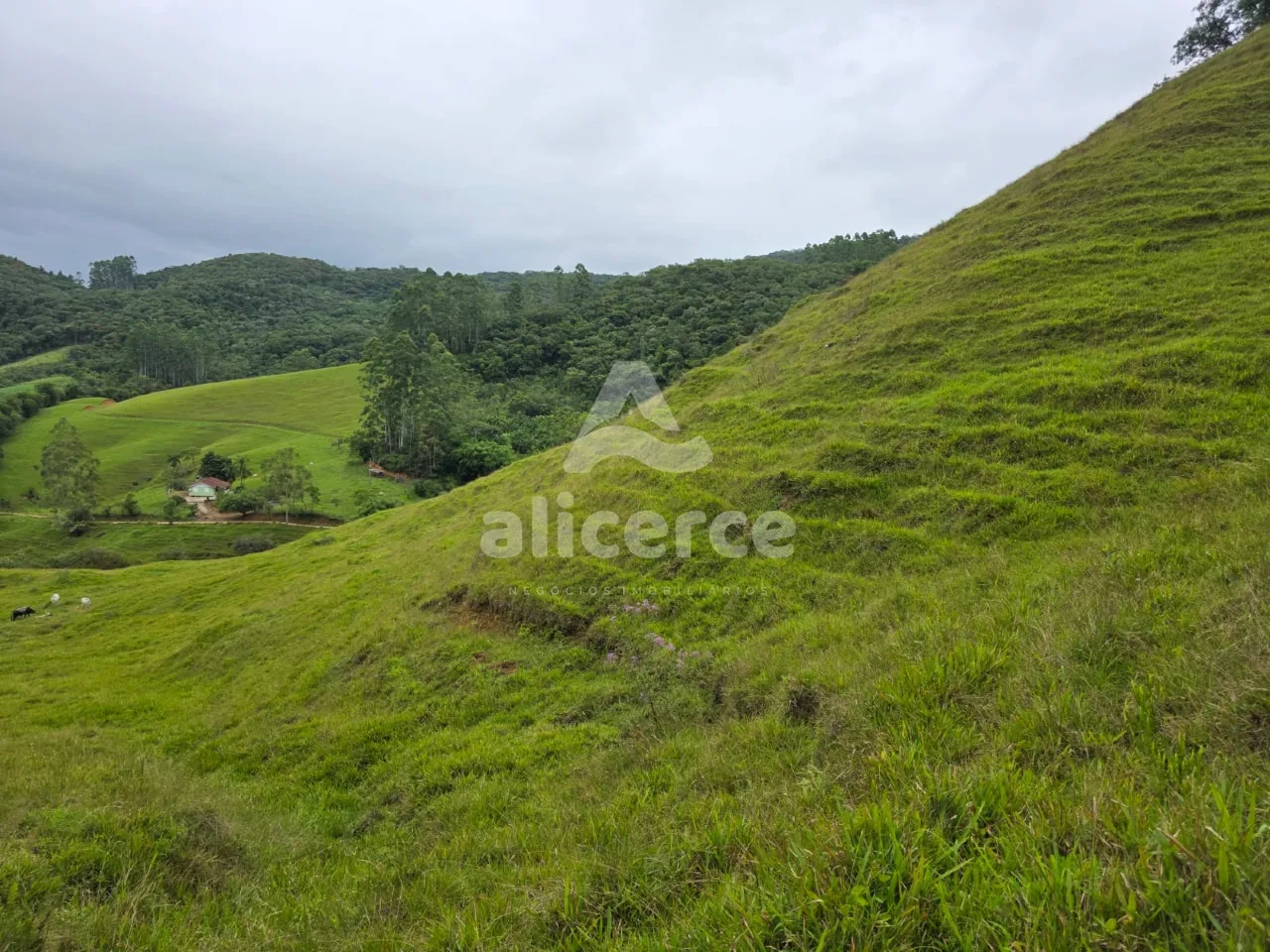 Imagem Sítio à venda em Antônio Carlos, SC, na Zona Rural - Morro da Gloria.