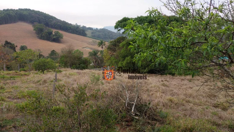 Imagem Chácara com 1 dormitório à venda, 12750 m² por R$ 750.000,00 - Toledo - Toledo/MG