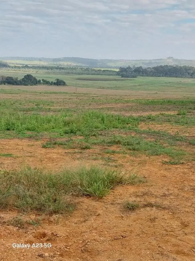 Imagem Vendo excelente fazenda em Lagoa da Prata/MG 376 hectares de terra