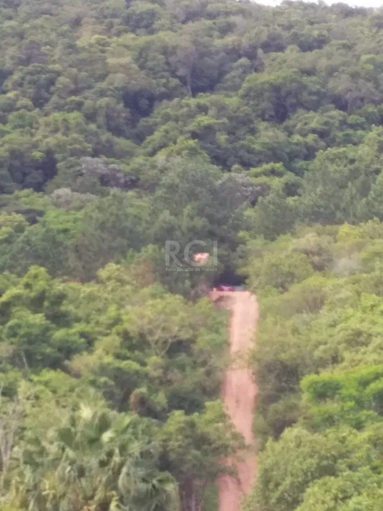 Imagem Terreno em Vila Nova