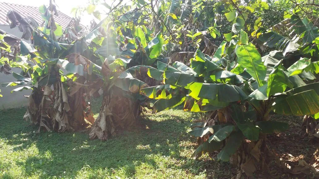 Imagem Terreno para Venda em São Leopoldo / RS no bairro Arroio da Manteiga
