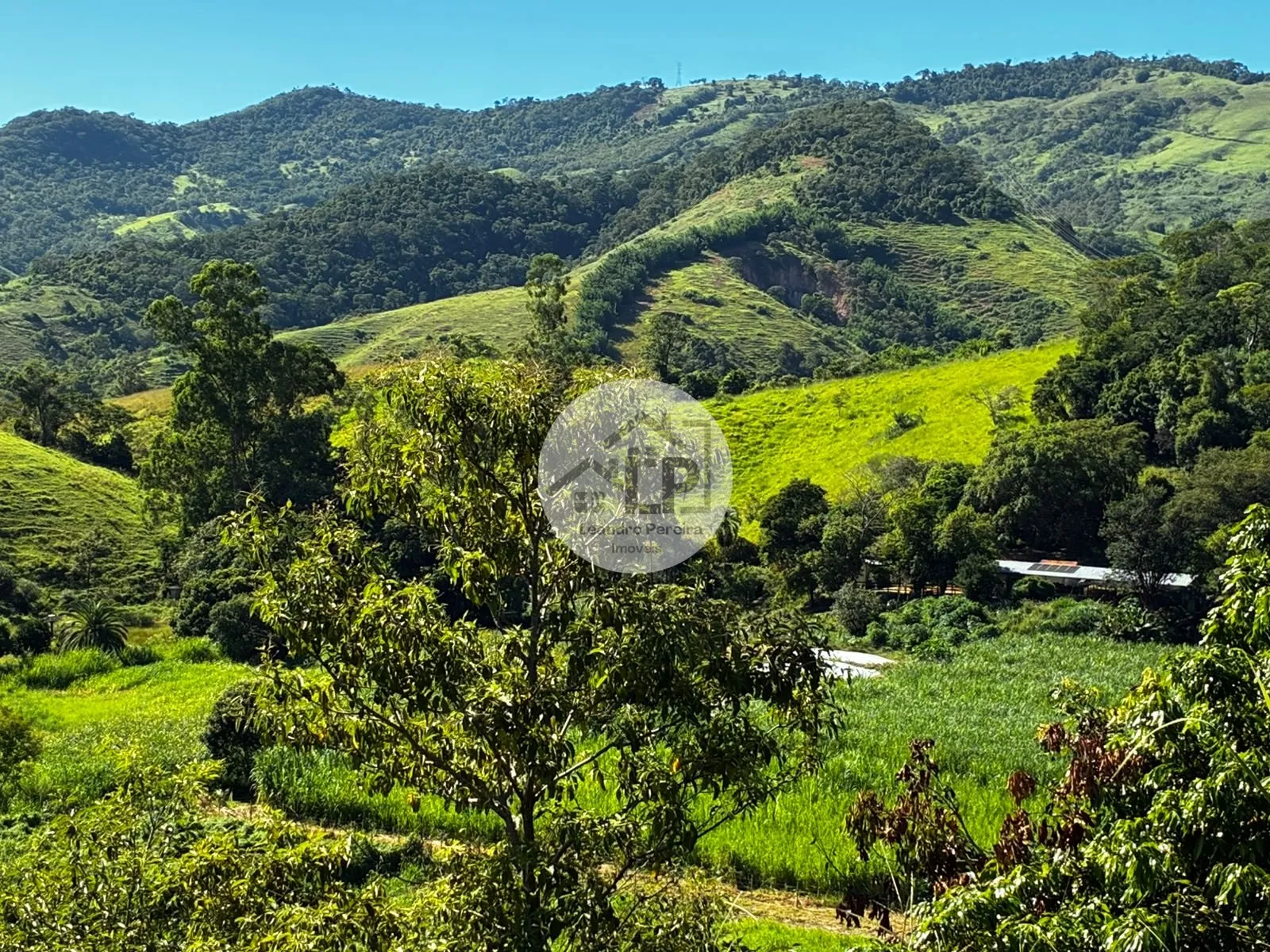 Imagem Fazenda/Sítios/Chácaras de 480000m² no bairro Carmo, em Carmo