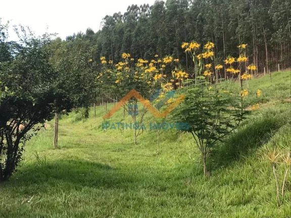 Imagem Sítio de luxo em Belo Oriente