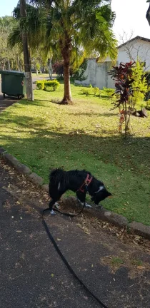 Imagem Vendo Terreno em loteamento fechado no Sorirama, Campinas SP
