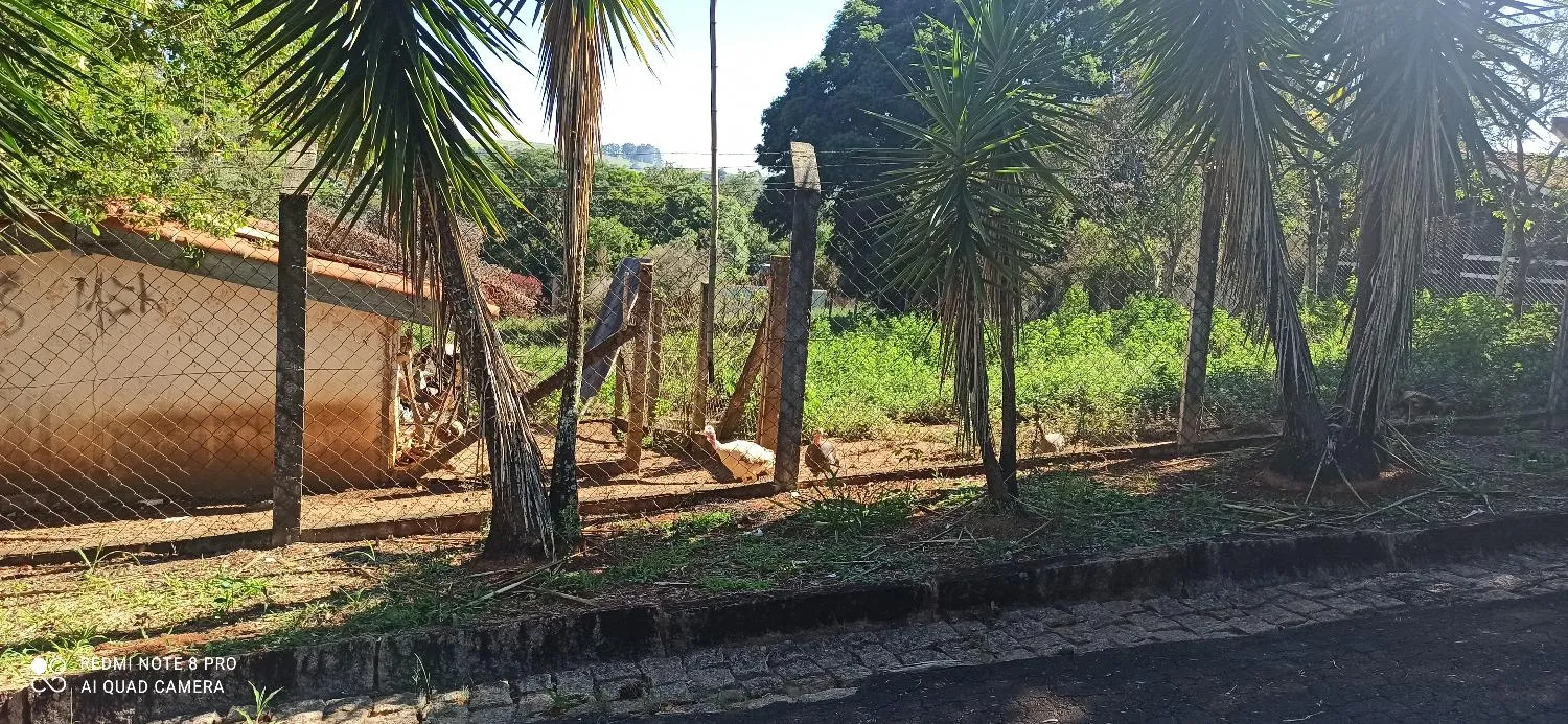 Imagem LOTE - PARQUE NOVA XAMPIRRA