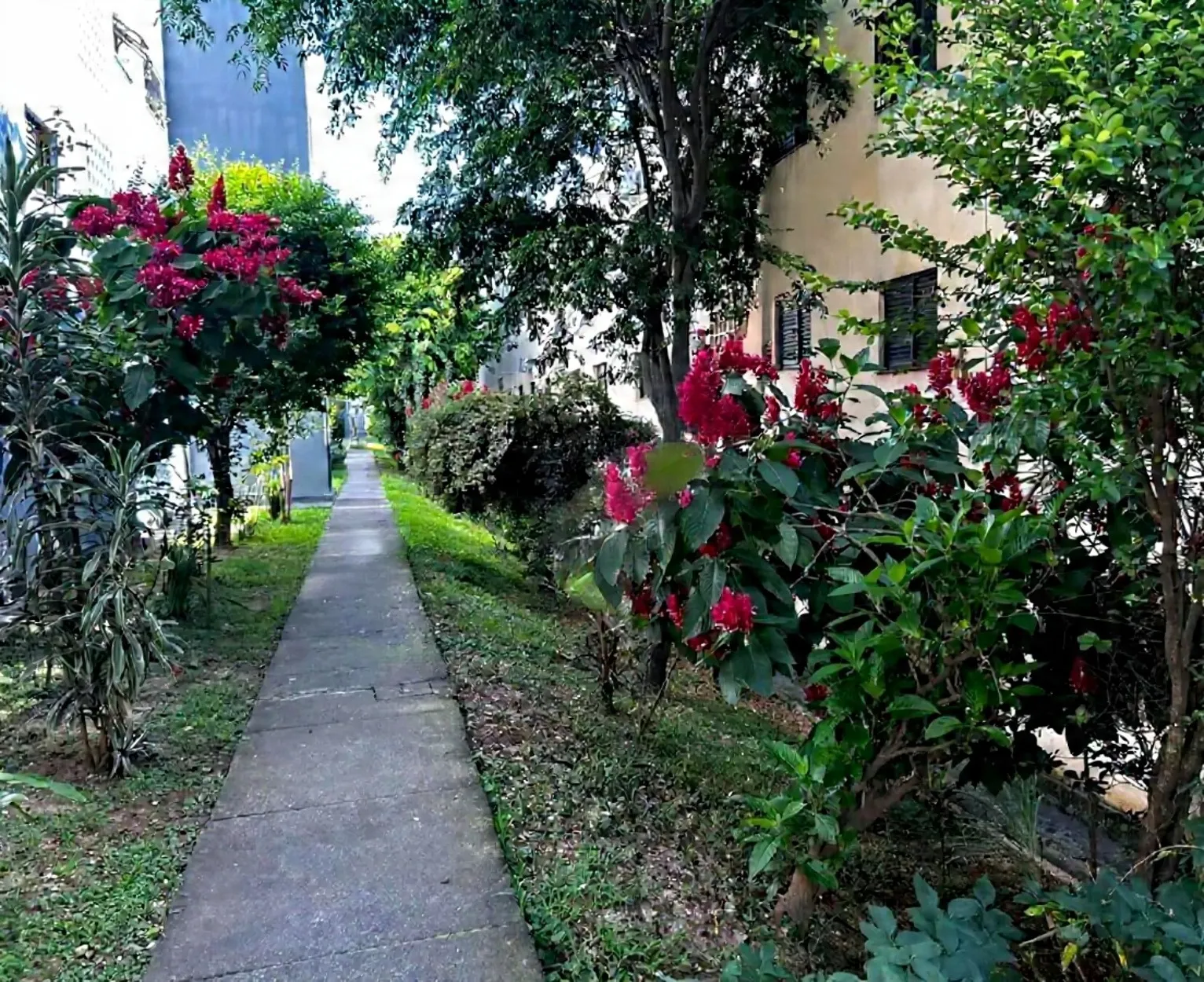 Imagem Apartamento 2 Dormitórios Vila Odim Antão Sorocaba/SP