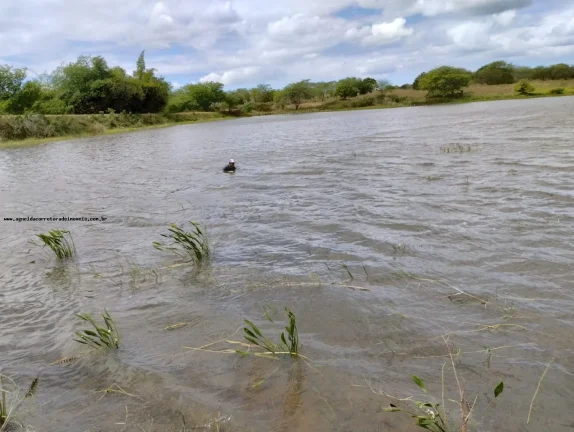 Imagem Fazenda para Venda em Santa Maria, SANTA MARIA