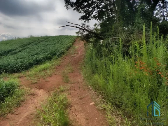 Imagem Terreno com 9,2 Alqueires, área verde ideal para plantio ou construção, em Campo Largo PR