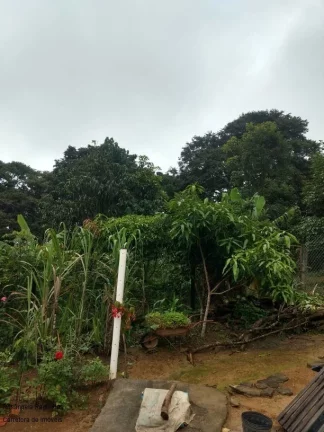 Imagem CHACARA RURAL em CALDAS - MG, LARANJEIRA