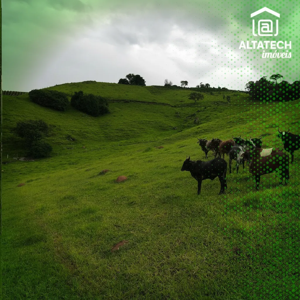 Imagem Sítio 15 m² à venda em Roseira, Bandeira do Sul