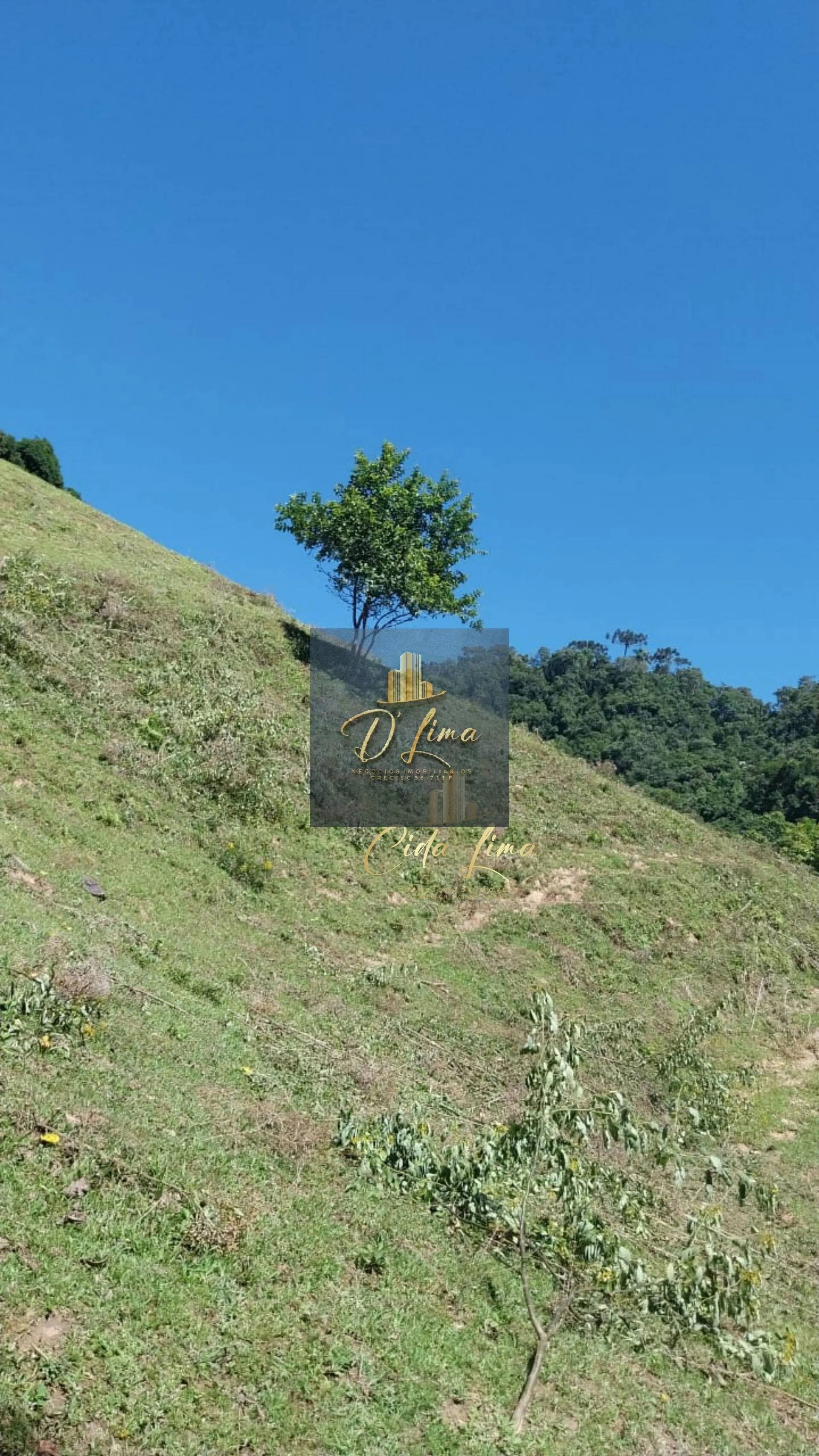 Imagem Vendo sítio/ Chácara, 12 Hectares em Alfredo Wagner SC.