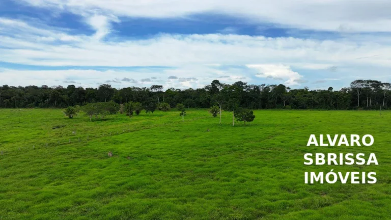 Imagem Vende/Permuta - Fazenda 390 Alqueires com Estrutura Completa a 120km de Porto Velho/RO