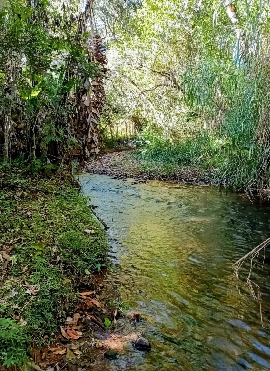 Imagem Chácara à venda em Campininhas, Caldas