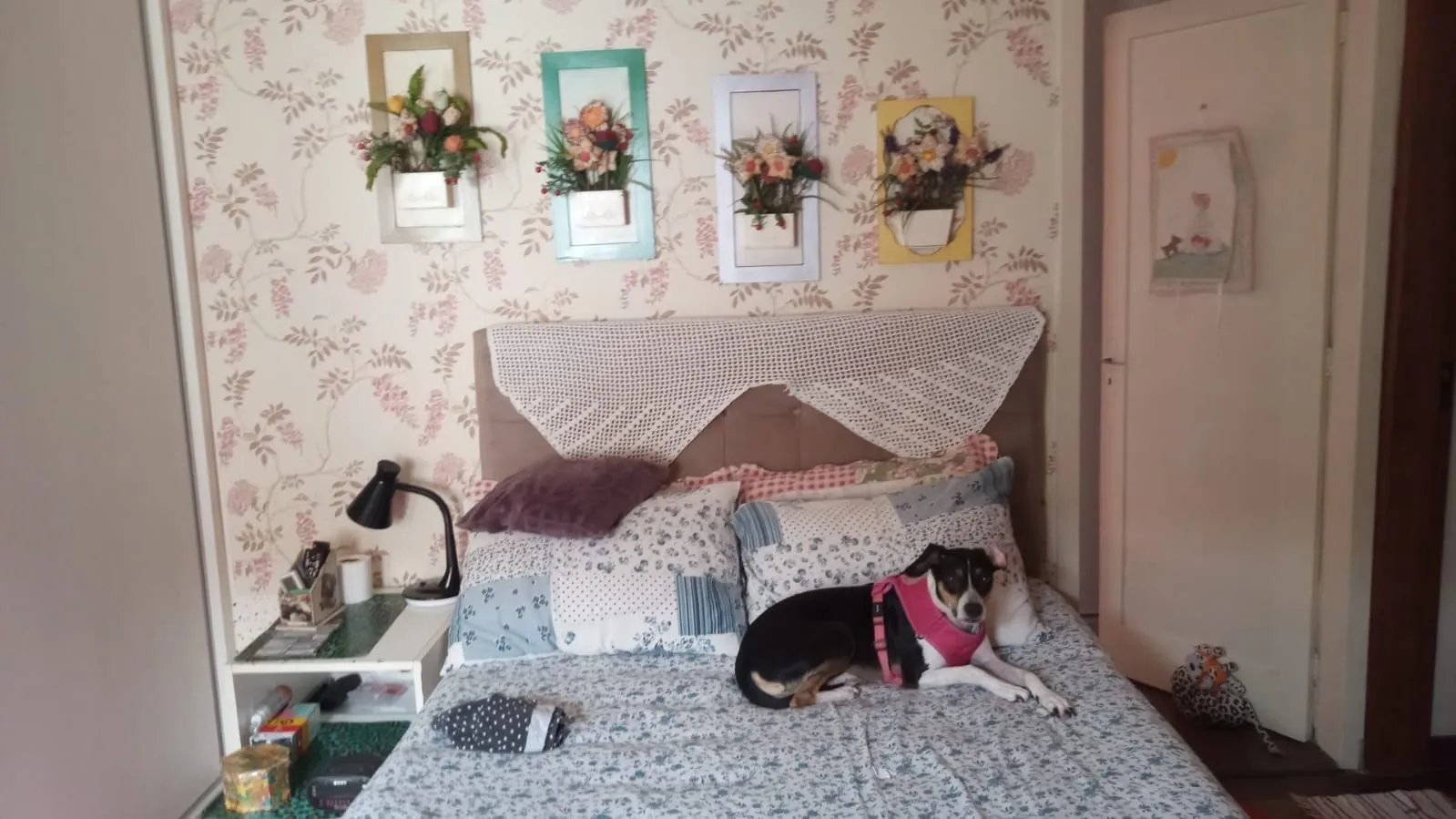 Imagem Apartamento em Menino Deus