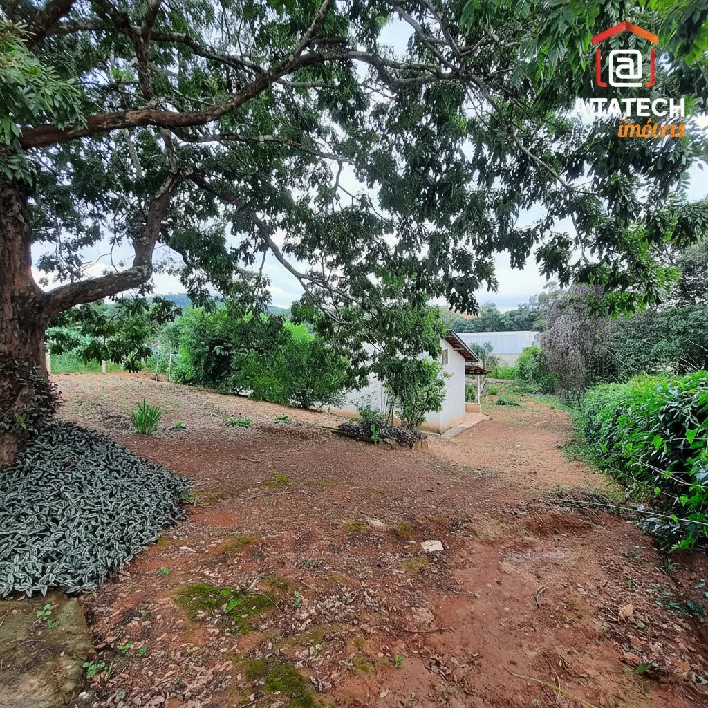 Imagem Chácara 60 m² à venda em Marlene, Bandeira do Sul