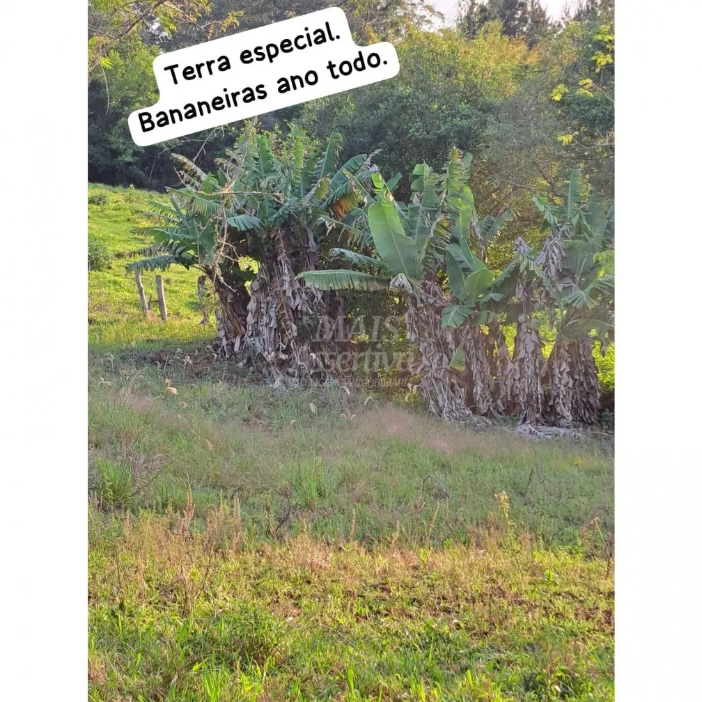 Imagem Santo Antônio da Patrulha RS - Localidade de Pinheirinhos.
R$ 270.300,00 A que busca uma área...