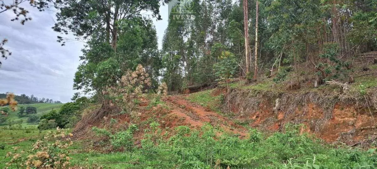 Imagem Ampla Área à Venda no Bairro da Lagoa - Socorro/SP