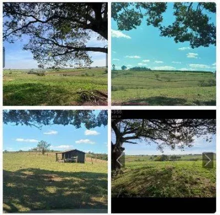 Imagem Sítio com 43,600 metros de terreno COM EXELENTE TOPOGRAFIA em cerquilho