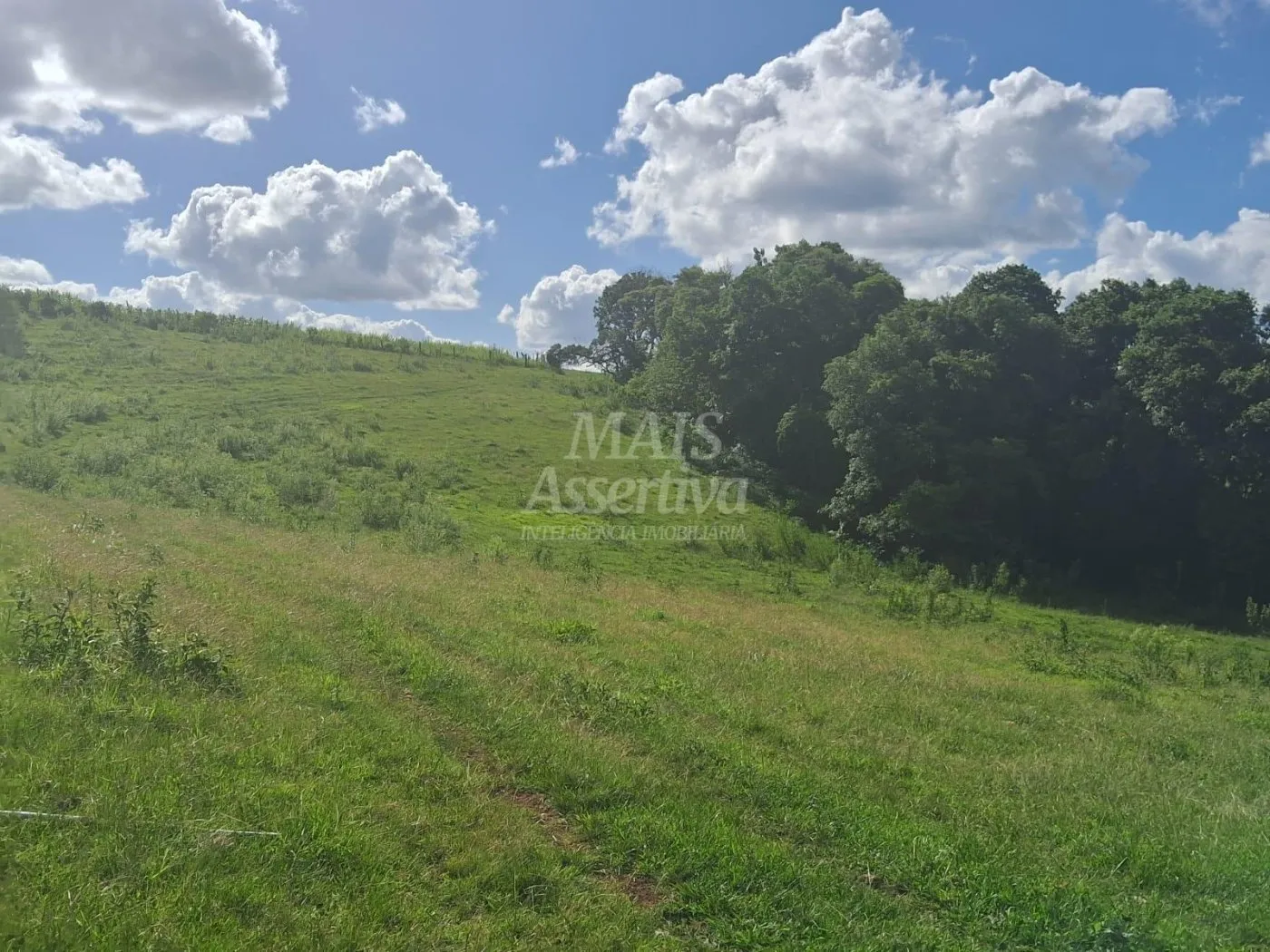 Imagem Área de Terras à venda, localizada em Taquara, ótima para plantação ou criação
