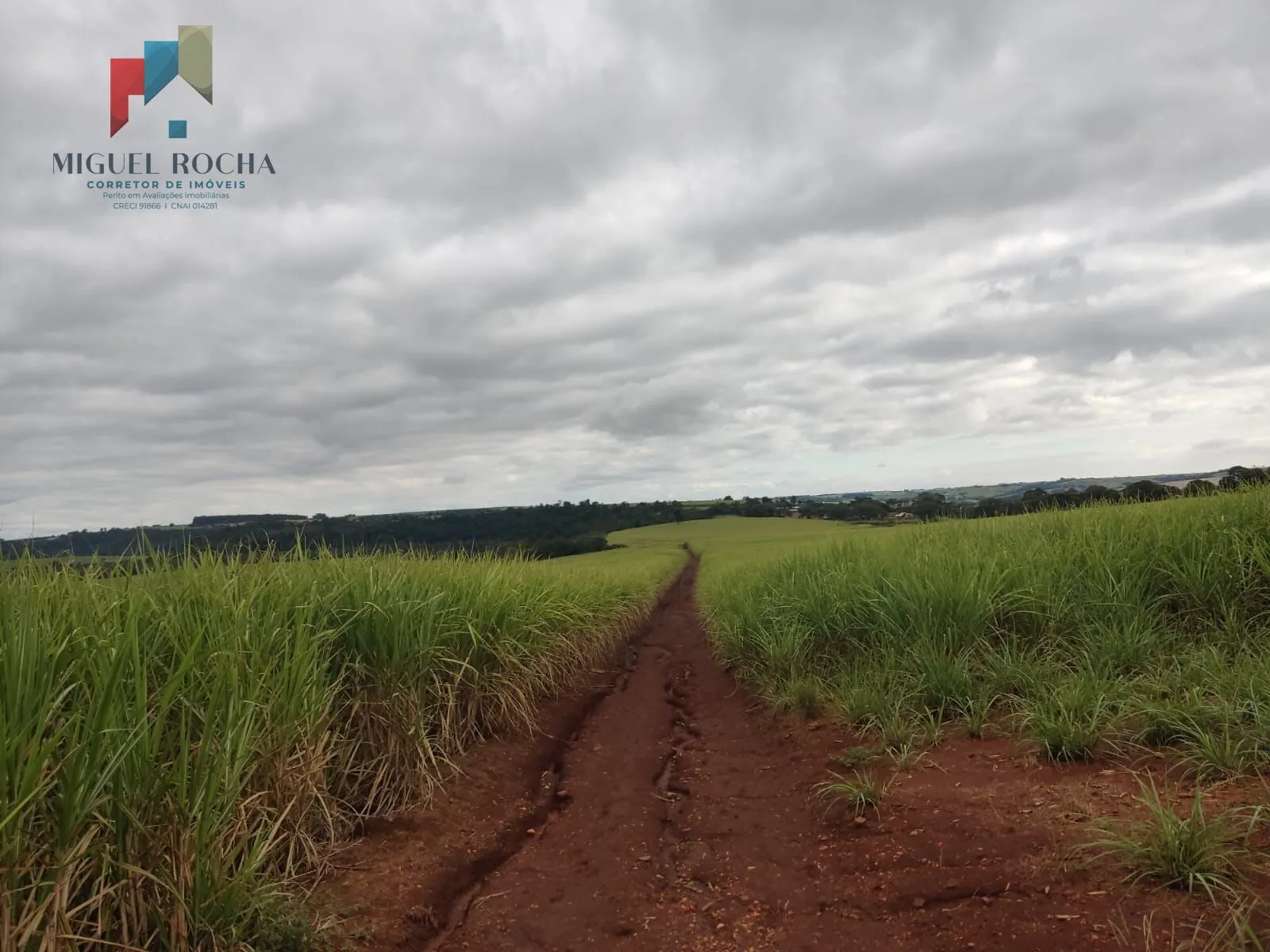 Imagem Fazenda região de Tatuí SP