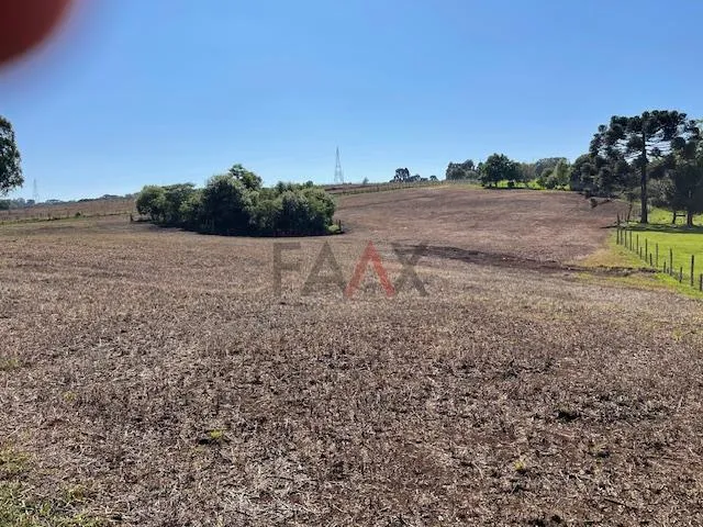 Imagem Chácara com 2,763 alqueires à venda na PALMEIRINHA em GUARAPUAVA - PR