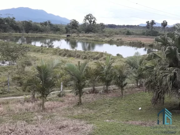Imagem Chácara/Sítio, propriedade produtiva, 30 hectares com plantação de palmito pupunha, em Guaratuba PR
