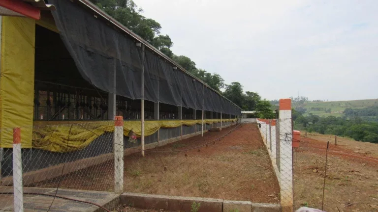 Imagem Área Agrícola para Venda em Peritiba, Lageado Mirim