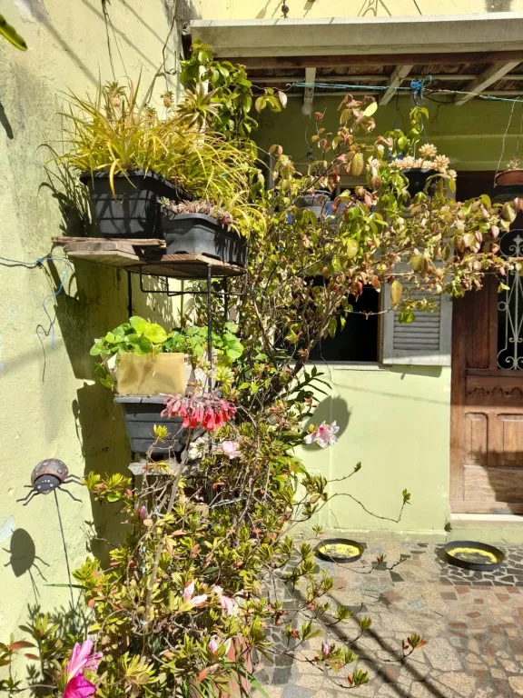 Imagem SALÃO COM 3 CASAS P RENDA