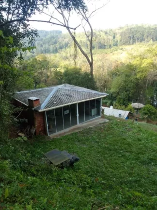 Foto do imóvel Sítio / Chácara para Venda em Concórdia, Rural em Rancho Grande