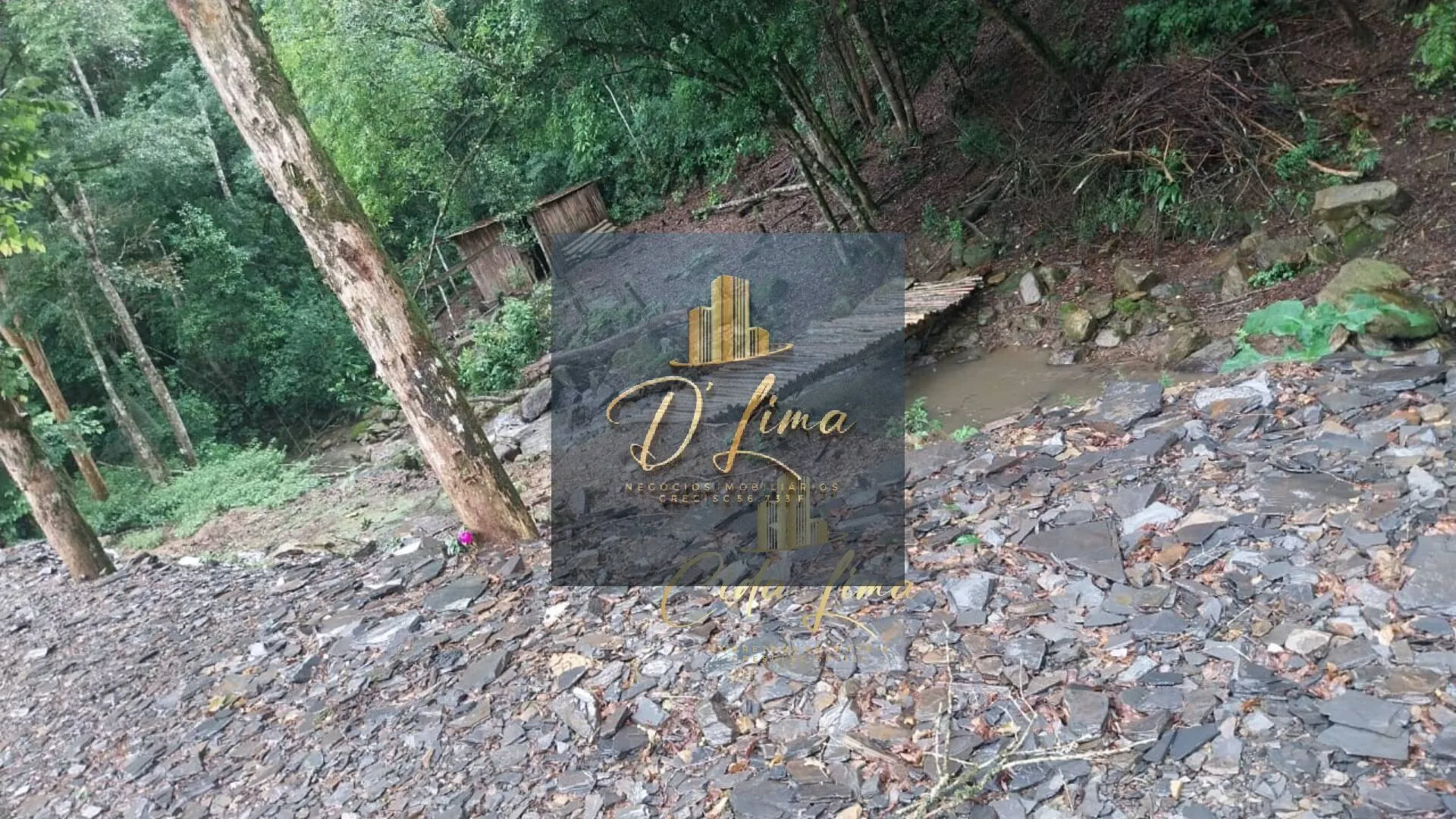 Imagem Vendo sítio/ Chácara, 12 Hectares em Alfredo Wagner SC.