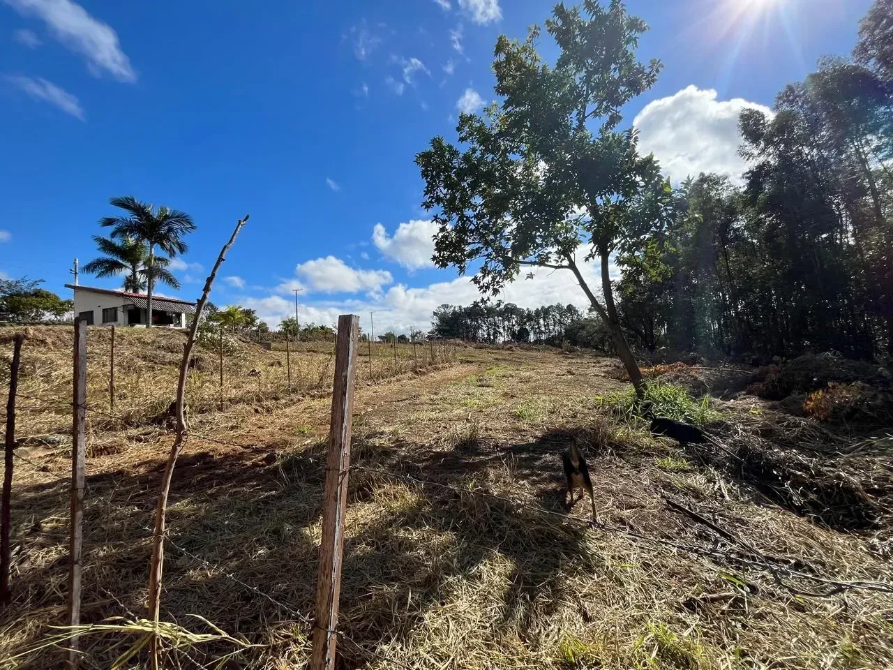 Imagem Terreno à Venda, 1.000 m² em Melissa - Itu