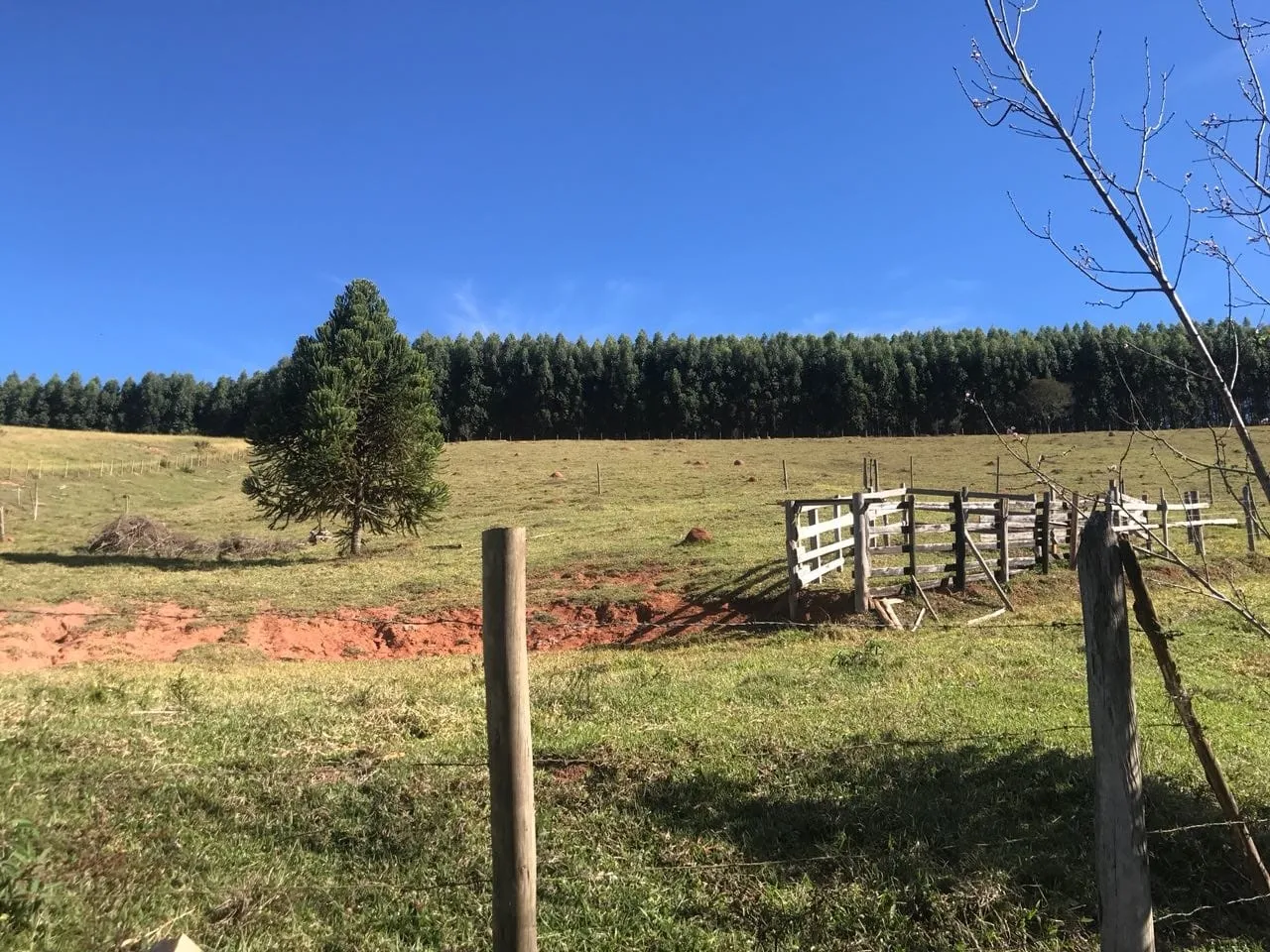 Imagem Chácara à venda 3 Quartos, 157000M², Bailaiero, Cunha - SP