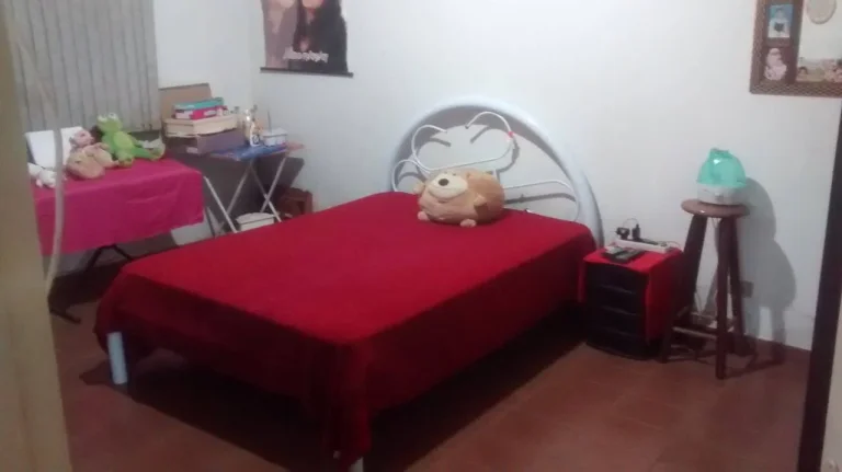 Imagem Galpão Comercial Terreno de 10 x 13 e casa de 2 Dormitorios Estuda Permuta