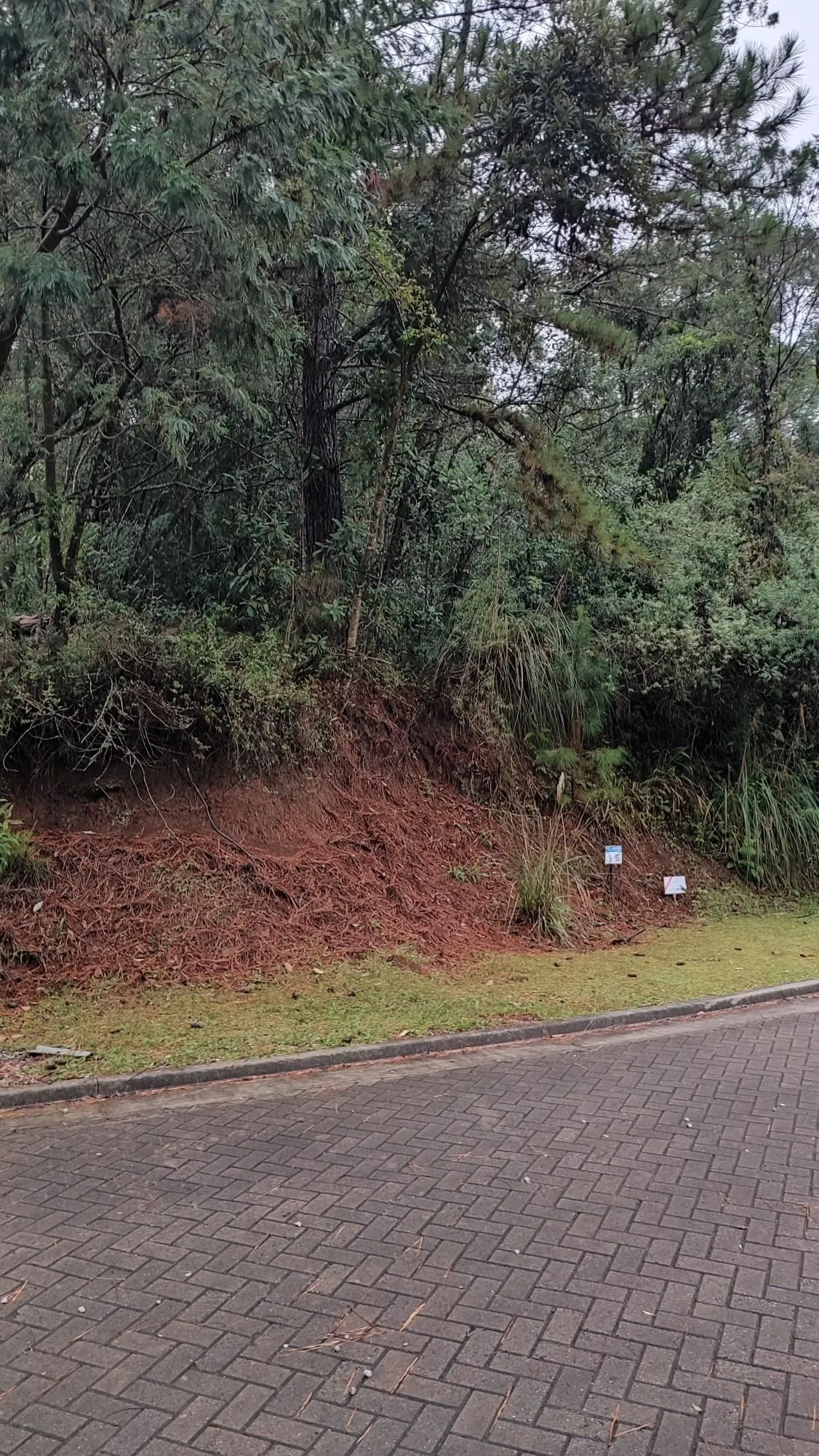 Imagem Terreno em Pórtico
