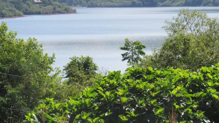 Imagem Terreno para Venda em Concórdia, Lageado Paulino