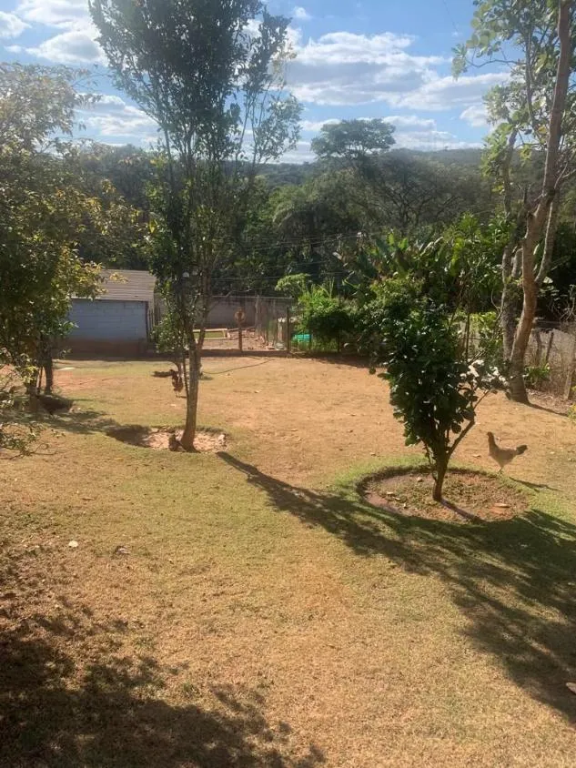 Imagem Vendo ótima chácara em Igarapé/MG com 3.750 m² de área