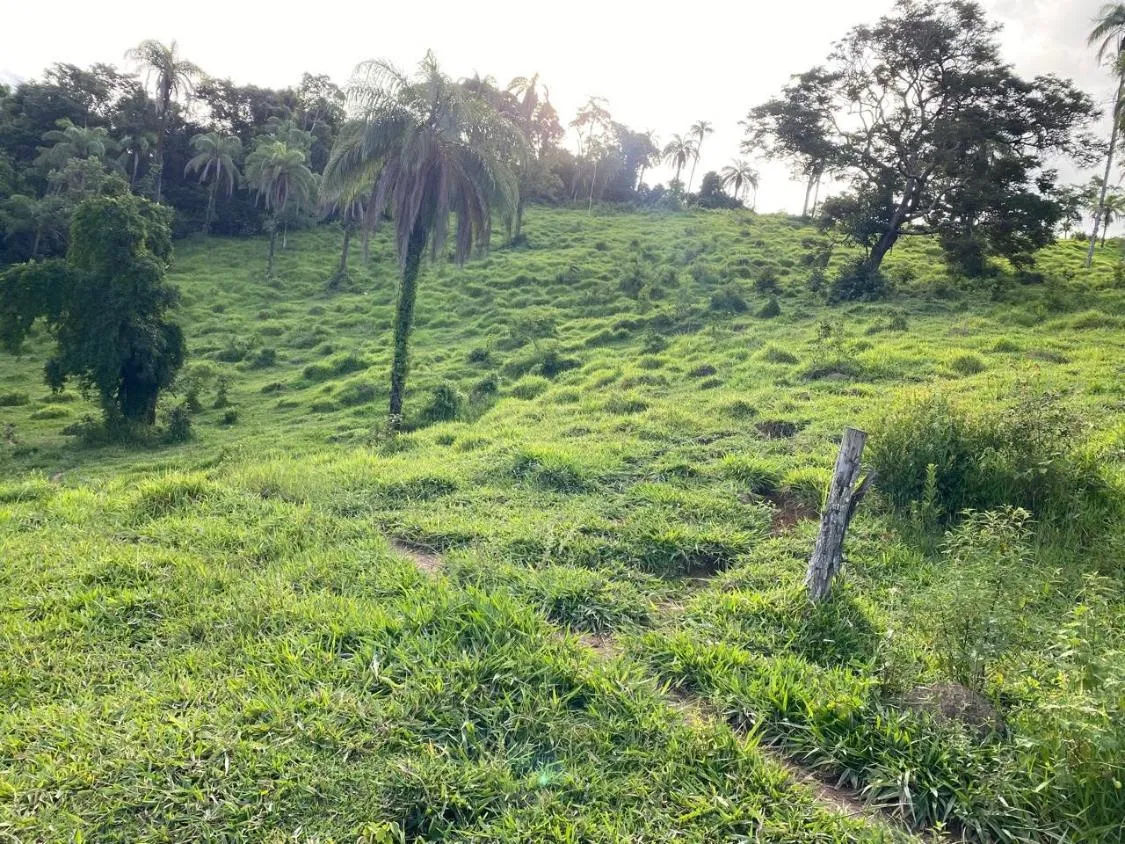 Foto do imóvel Excelente Terreno à Venda em Itaguara/MG: 19 Hectares com Fácil Acesso à BR-381
