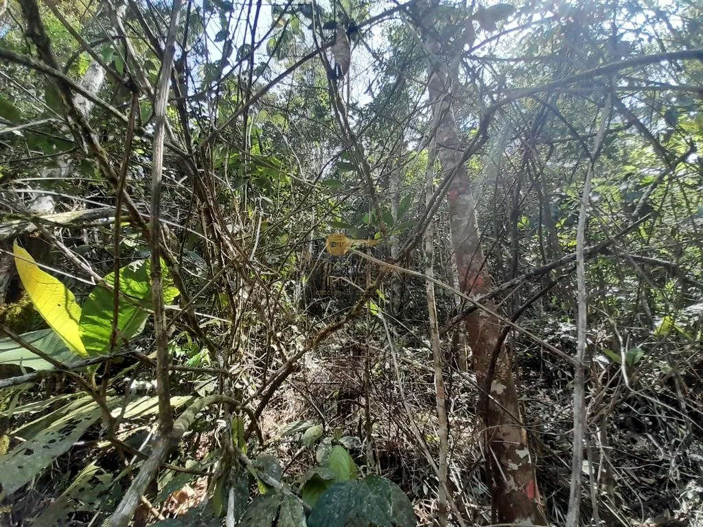 Imagem Terreno para Venda em Teresópolis / RJ no bairro Vargem Grande