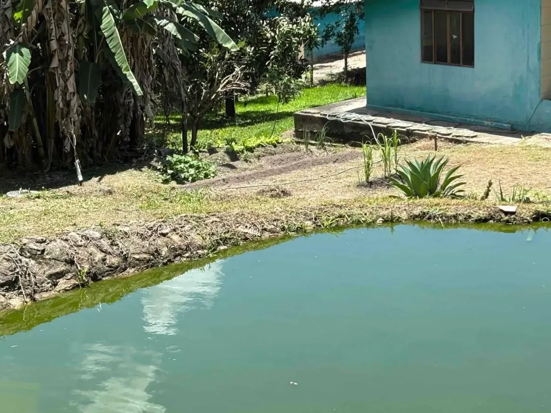 Imagem Excelente sítio a venda com 2 hectares, OU SEJA, ( 20.000 M² ) em Betim