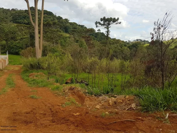 Imagem CHACARA RURAL em LARANJEIRAS DE CALDAS - MG, LARANJEIRAS DE CALDAS