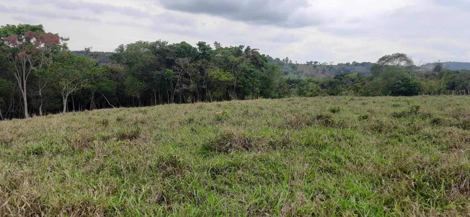 Imagem Terreno à Venda em Carmópolis de Minas 13,5 hectares, todo formado