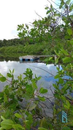 Imagem Chácara/Sítio, propriedade produtiva, 30 hectares com plantação de palmito pupunha, em Guaratuba PR