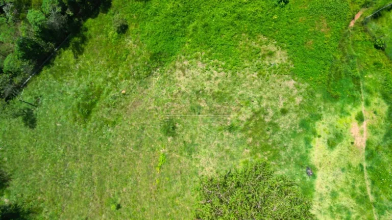 Imagem Terreno em Campos do Jordão