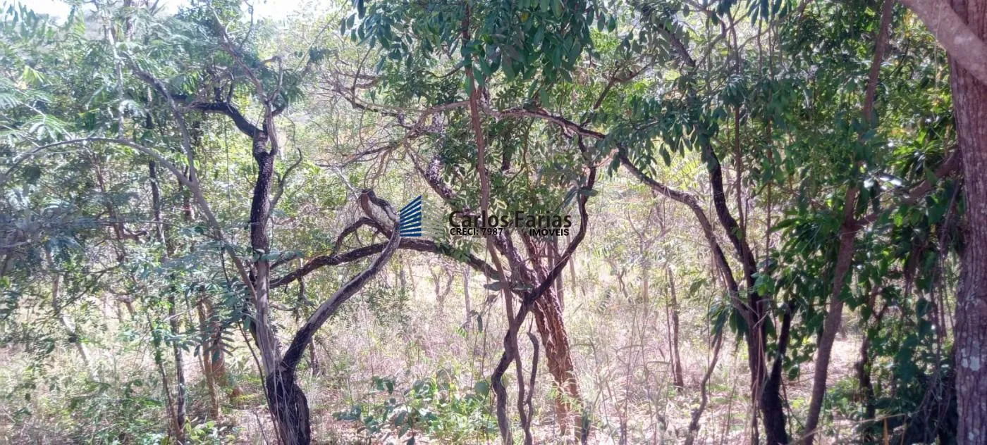 Imagem Lote em Condomínio Fechado para Venda em Brasília, Setor Habitacional Jardim Botânico