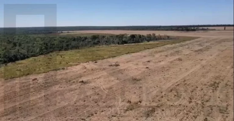 Imagem CASAL IMÓVEIS VENDE FAZENDA SOJA EM NOVA CANAÃ 2.200 HECTARES